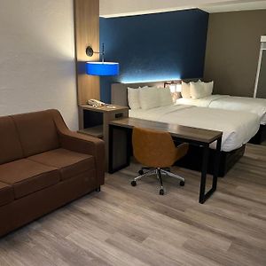 Standard Suite